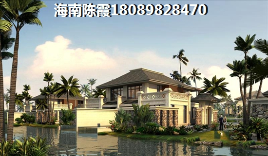 乐东龙栖湾海景房