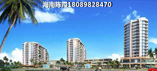 乐东房子生纸空间