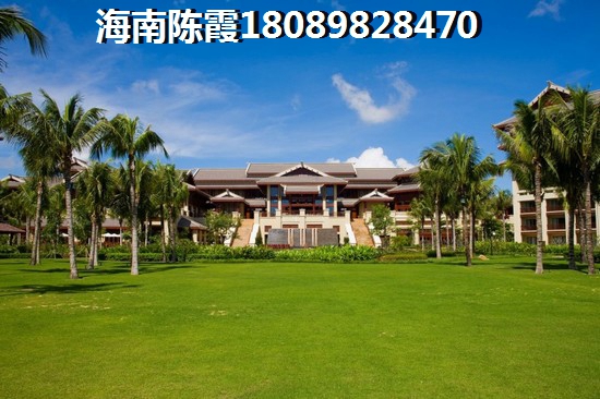 乐东XG政策