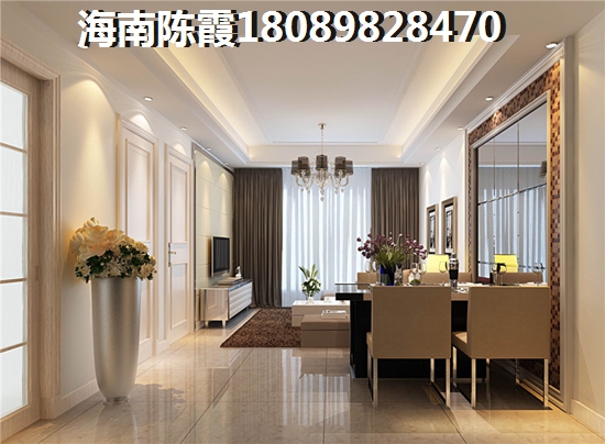 乐东九所买房