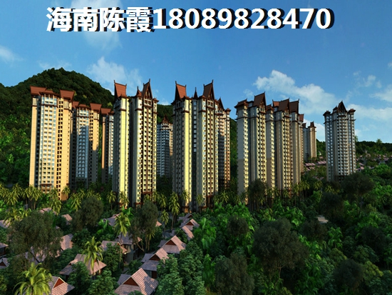 乐东公寓便宜的有哪些（乐东椰树阳光楼盘）