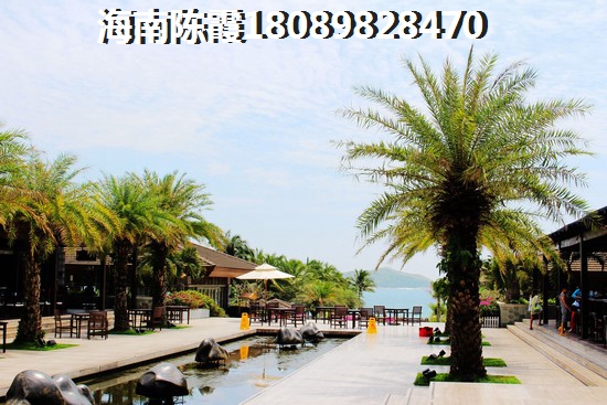 海南陵水乐东农村房价1