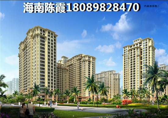乐东九所2022房价走势+touzi前景3