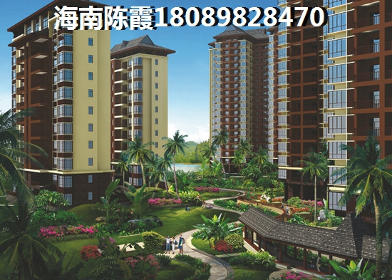 海南乐东九所房价贵吗（海南九所镇出买房价格）