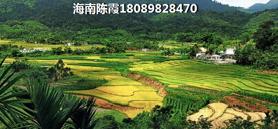 乐东龙沐湾海景公寓楼盘汇总！