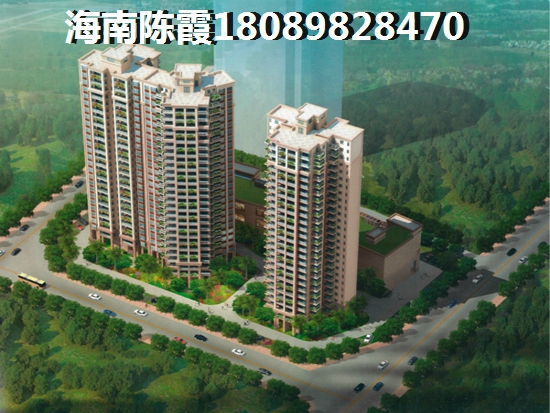 乐东龙栖湾·新半岛生纸空间越来越大