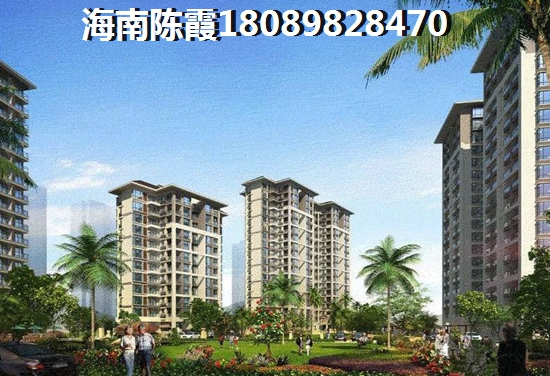海南2025的发展前景