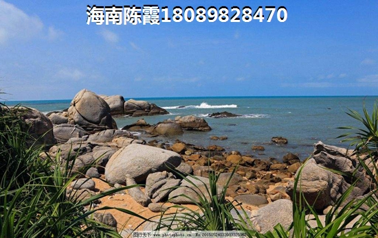 北方人一般都在海南九所镇什么地方买房？