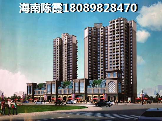 乐东九所房价2025年走势深度分析，2025乐东九所房价逆境上涨！