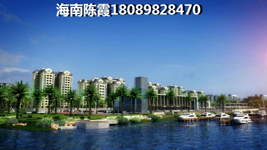 乐东龙栖湾发展前景