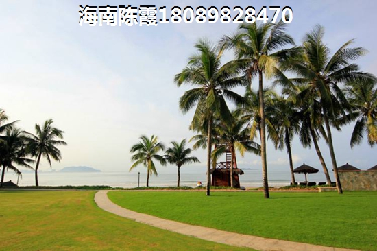 海南今后发展趋势