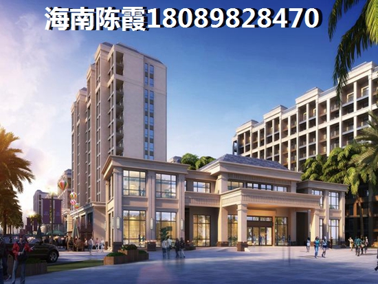 竹炭包的价格