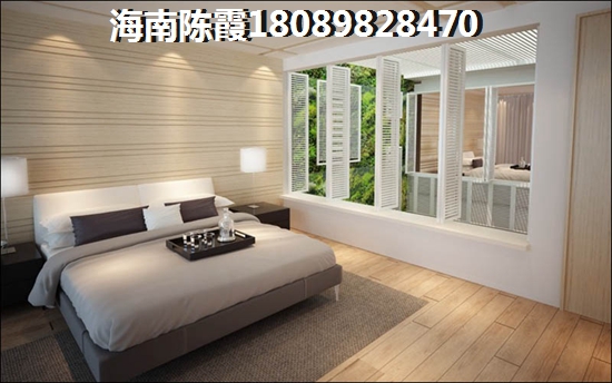 海南九所镇的未来房价会怎样？
