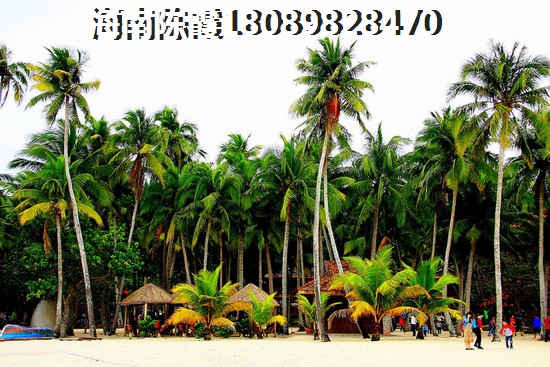 龙栖湾对比琼海养老生活成本对比！海南哪儿买房养老好？