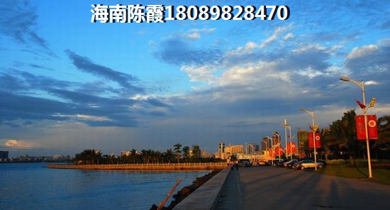 鸡蛋炒挂面的家常做法