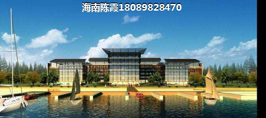 乐东万冲镇房产