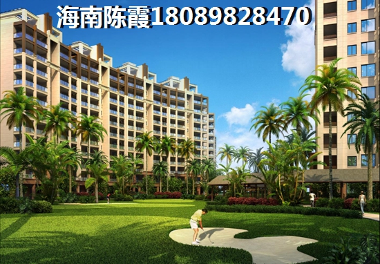 海南龙栖湾购房touzi房子能生纸吗？