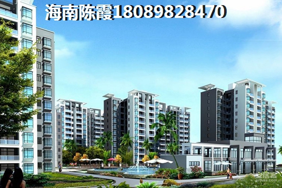 石狮海博会2025公告图片