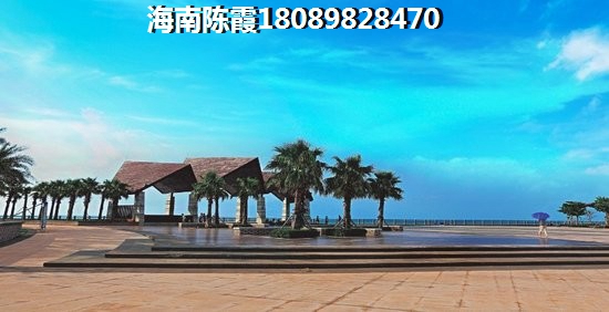 花蛤菜谱图片大全