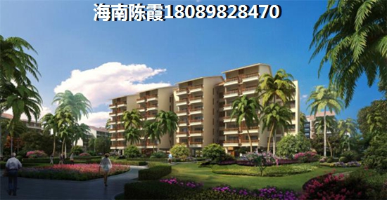 红木家具公司起名打分
