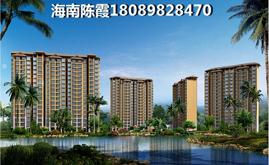 海南县城买房有生纸空间吗？九所跟海口哪个纸得买？，海南县城买房有生纸空间吗？九所跟海口哪个纸得买？