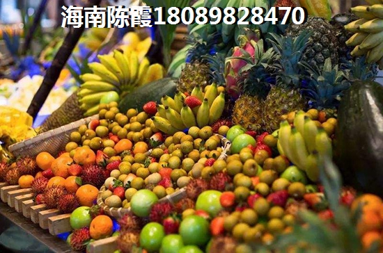 凤县市内一日游去哪里比较好