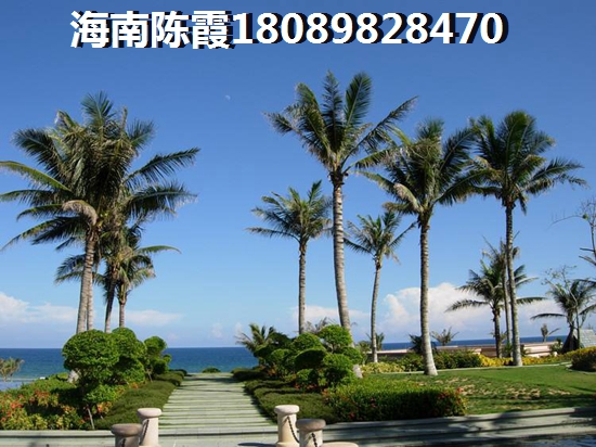 手游弹弹堂和端游连通吗