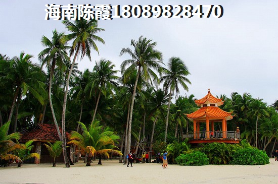 羊甲山：自然之美的绝版画卷