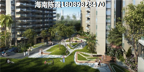 乐东龙栖湾往后还会生纸，乐东龙栖湾发展规划