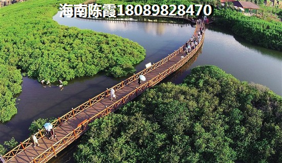集美优品怎么加盟